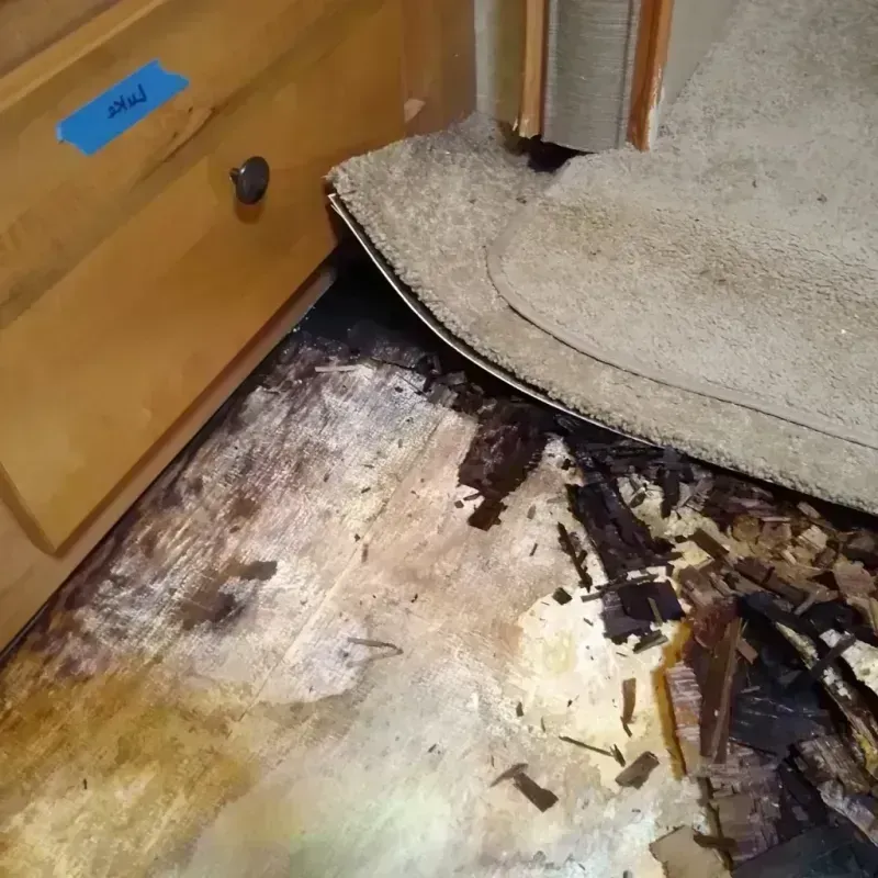 Best Wood Floor Water Damage Service in Cincinnati, OH